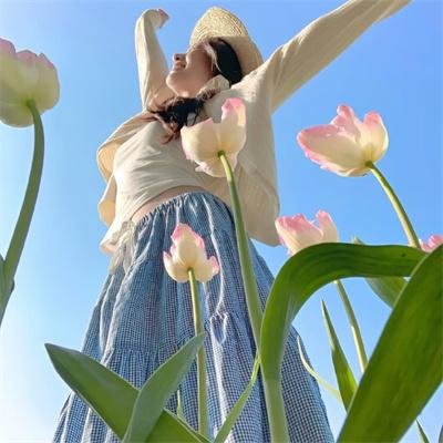 费里布朗